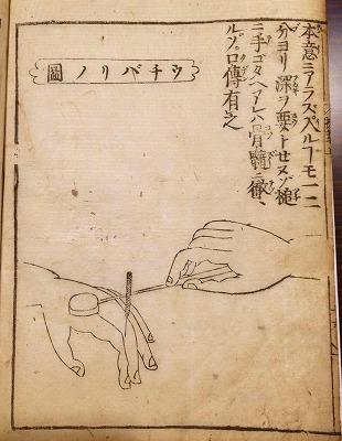 目標イメージ